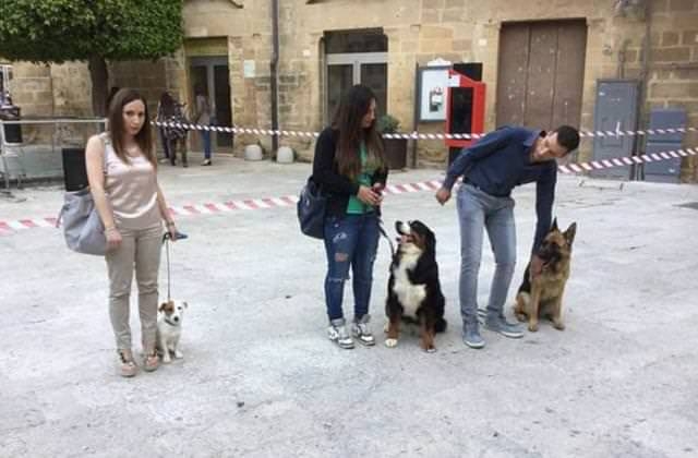 Totino Addestramento E Pensione Per Cani